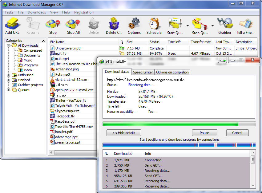 Internet download manager